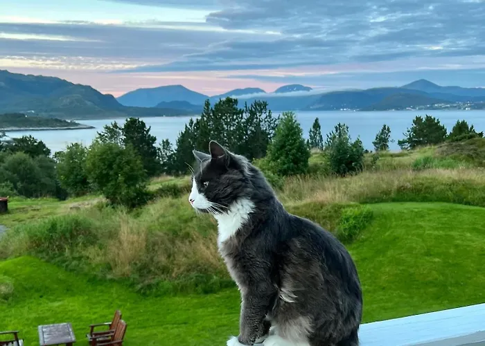 Wake Up To A Beautiful View And Smell Of The Sea