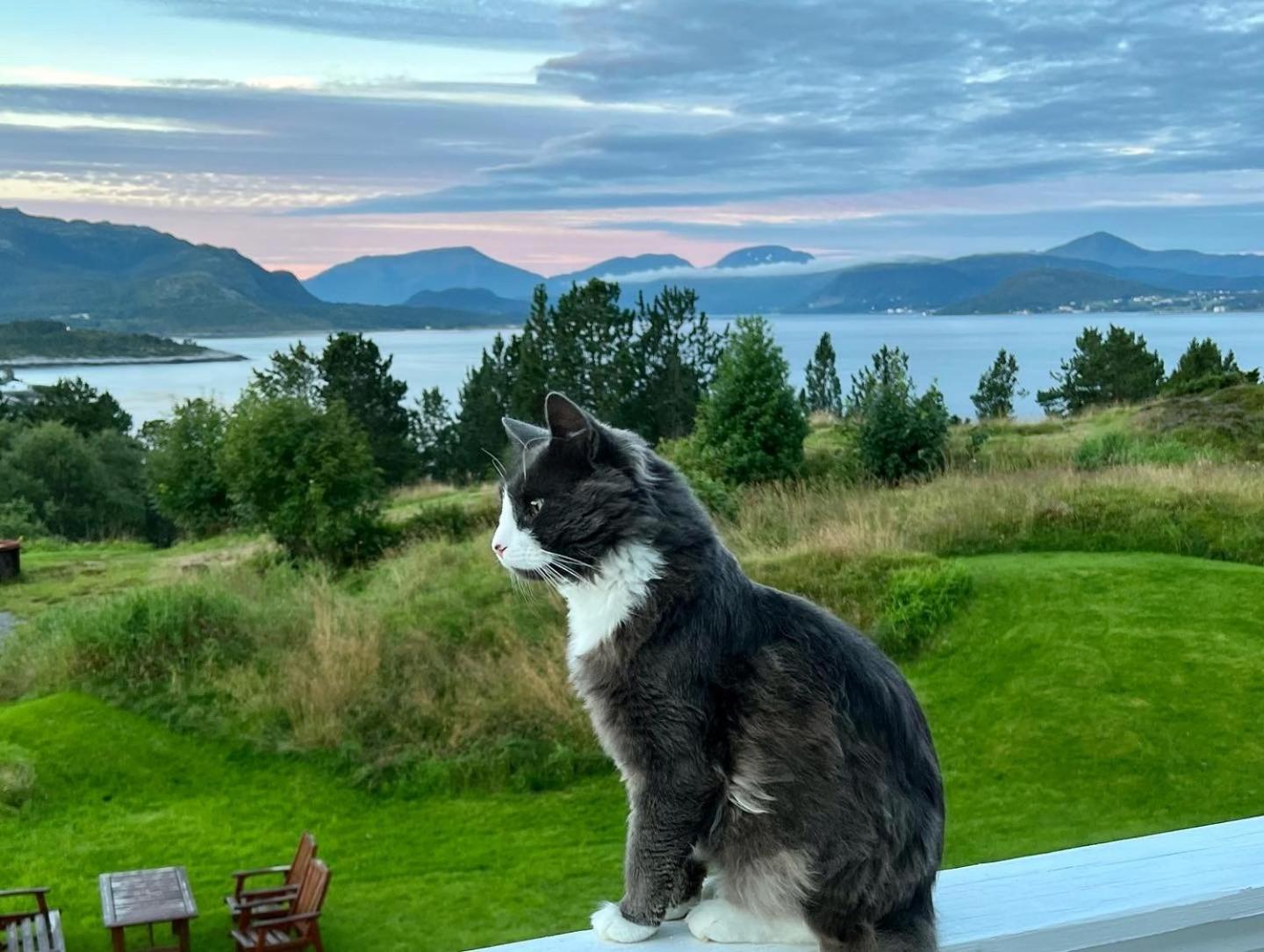 Wake Up To A Beautiful View And Smell Of The Sea Privatunterkunft