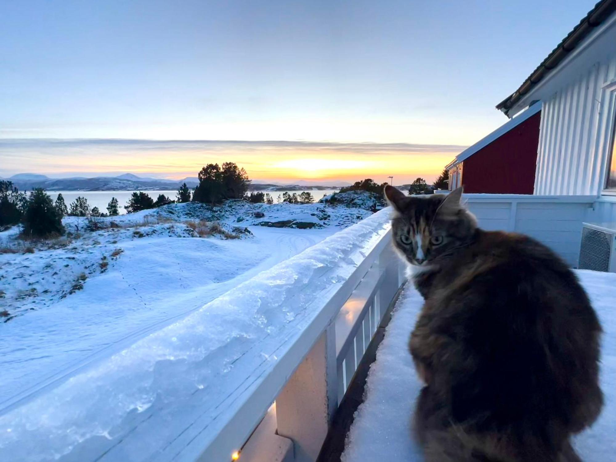 Homestay Wake Up To A Beautiful View And Smell Of The Sea Kristiansund