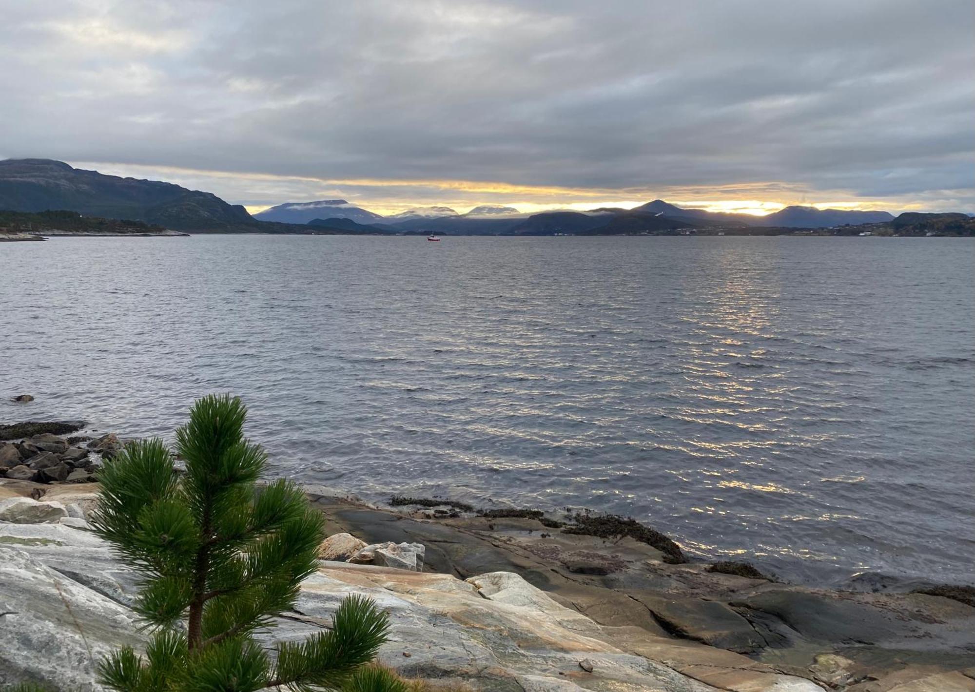 Homestay Wake Up To A Beautiful View And Smell Of The Sea Kristiansund
